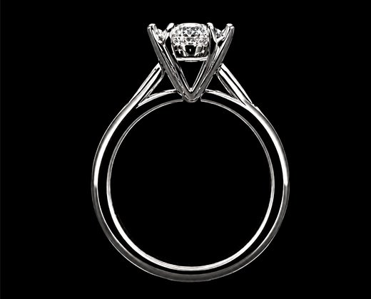 Decorative ring render
